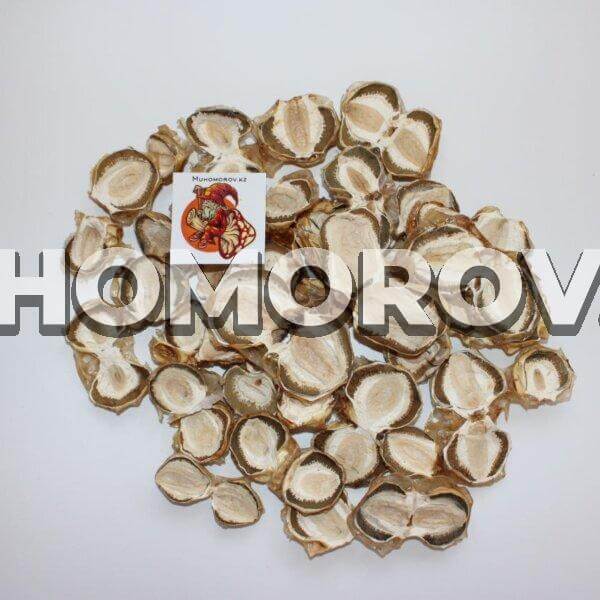 Весёлка обыкновенная сушенная